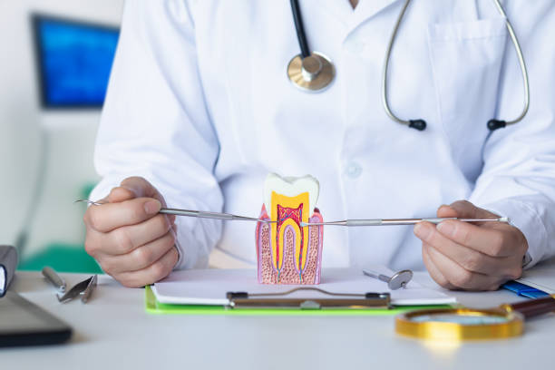 Best Emergency Wisdom Teeth Removal in Nashotah, WI